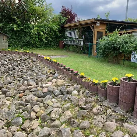 In Der Lueneburger Heide *