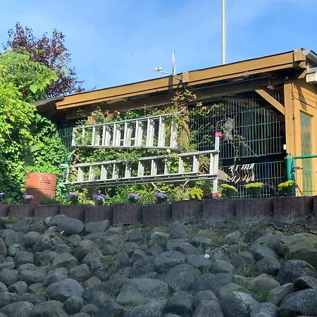 In Der Lueneburger Heide Bispingen