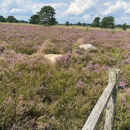 In Der Lueneburger Heide * Bispingen