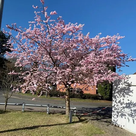 In Der Lueneburger Heide Bispingen