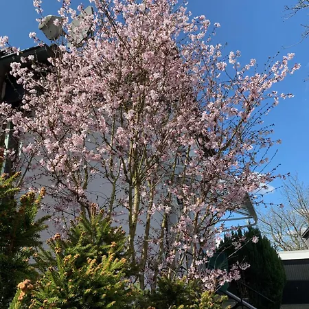 In Der Lueneburger Heide